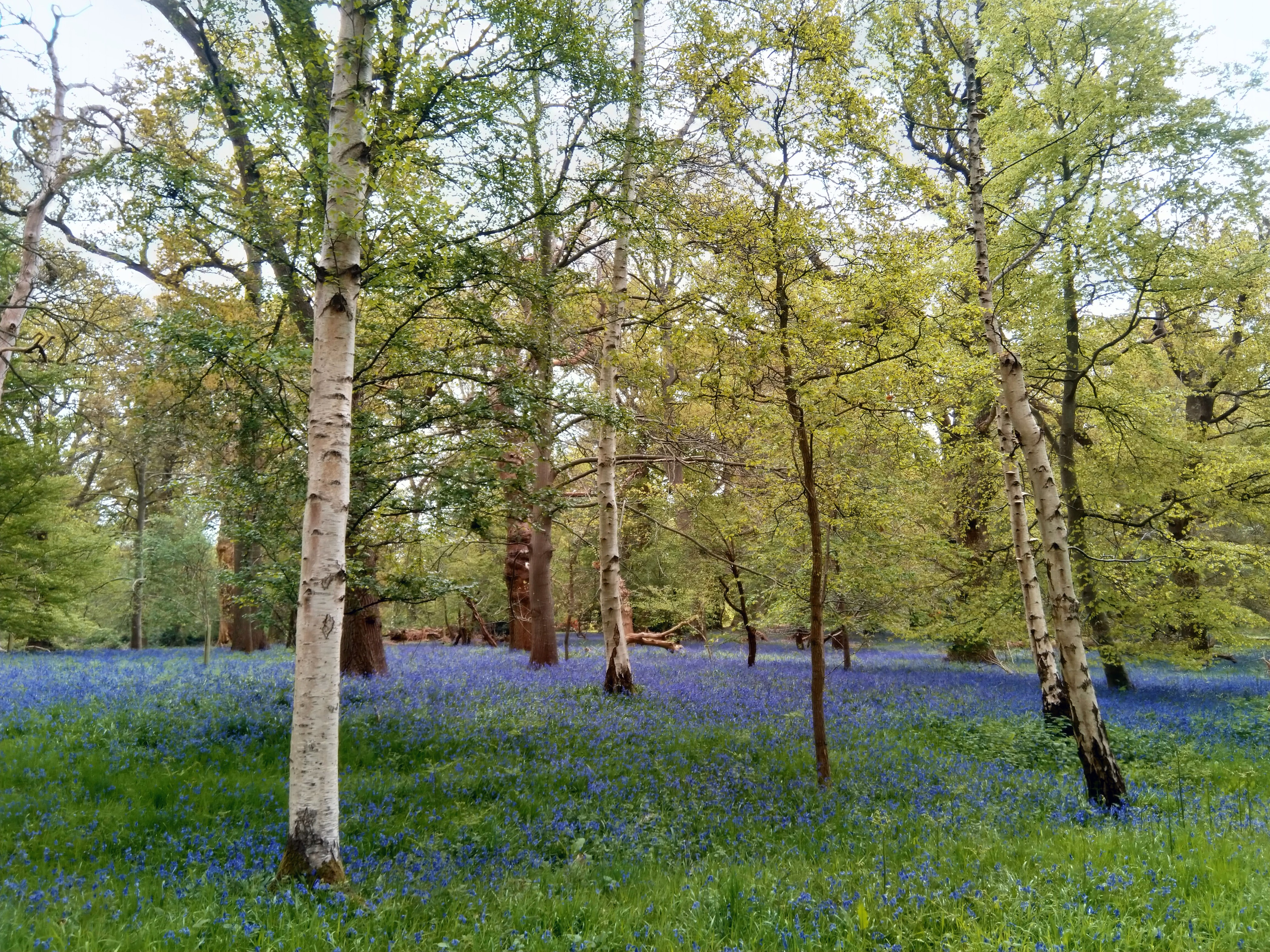 Nuneham