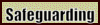 Safeguarding